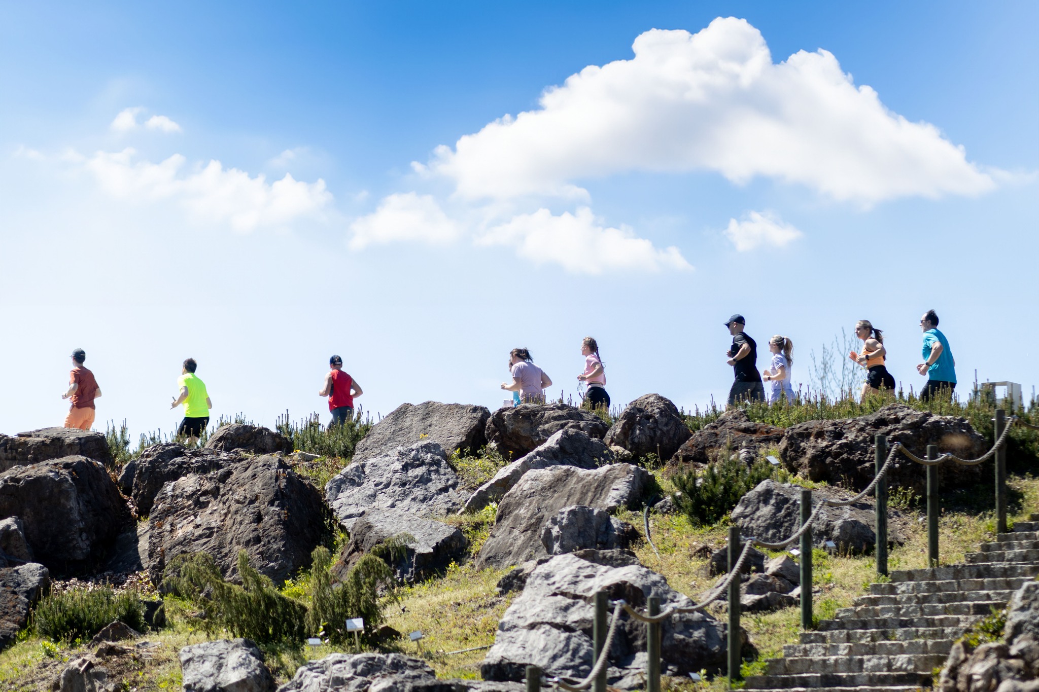 Botaniczna Piątka Kielce - edycja wiosenna 2026